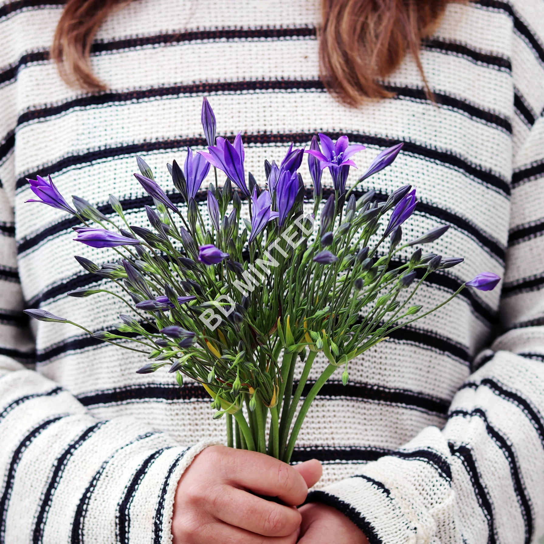Letterbox gift of Spring Flowers - Triplet Lilies